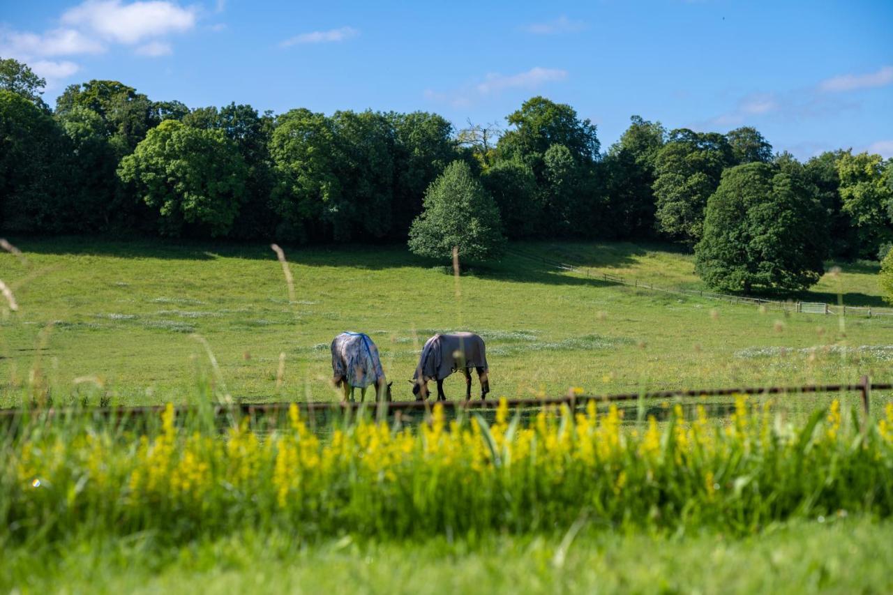 Henge Estate - Restored Manor House, Up To 11 En-Suite Bedrooms Shrewton Exterior foto